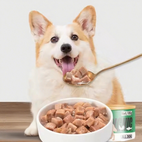 Gourmet Wet Dog Food Variety Pack - Savory Beef, Chicken, and Tuna